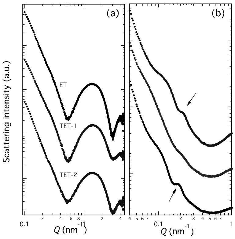 TEM micrographs of human stratum corneum showing corneocytes. (a) An ethosomes nanovesicle (arrow) occurs in the intercellular space of the stratum corneum between corneocytes. (b) A nanovesicle (arrows) has been internalized in a corneocyte. The electron-dense corneocyte interior and cornified envelope are clearly visible. Scale bar: 1 μm. (human (ex vivo skin, stratum corneum); Figure 3.)